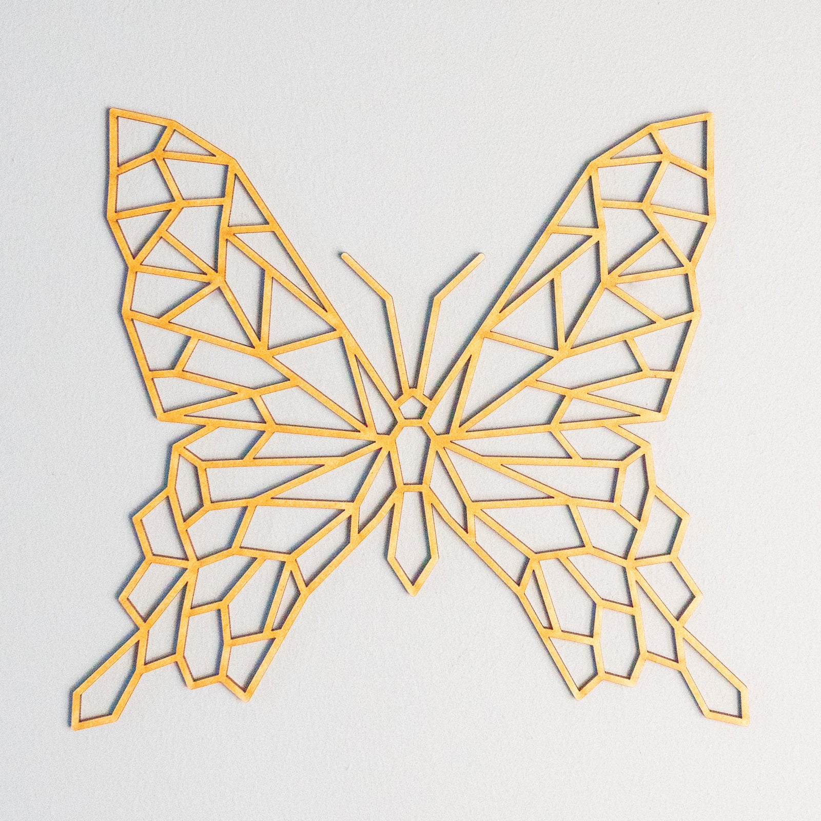 Geometric Butterfly Wall Decor - Slate & Rose